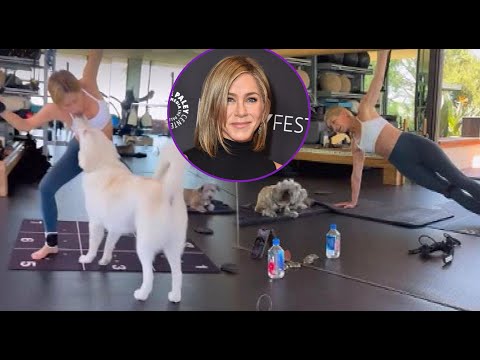 What are Jennifer Aniston dogs called?