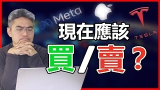 美股 AAPL、TSLA、FB可以買入嗎？美股如何部署？美股跌到何時？科技股撈底。美股介紹。美股2022年。美股好公司。蘋果公司、臉書 Meta、特斯拉股票。美股分析。Chief Papa 張志雲