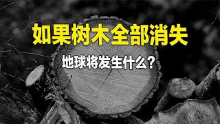 如果树木全部消失，地球将会发生什么？