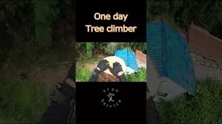 One day Tree climber