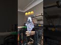 hilarious bird has coughing fit on live 🤣 funny funnyanimal parrot talkingparrot animals pets