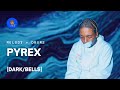 How to make CRAZY dark bell samples for PYREX WHIPPA 👨🏽‍🔧