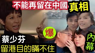 走佬內幕！蔡少芬「緊急回流」定居香港！恨回「TVB拍劇」咁簡單？網民踢爆『回港避稅就真！？』曾讚「上海是最好？」大劉劉鑾雄「最聽話女友」李嘉欣眼中釘？驚人內幕瞞不住！ #伍間娛樂