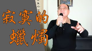 寂寞的蠟燭 - 蔡小虎｜ 鄭舜元 老師 翻唱