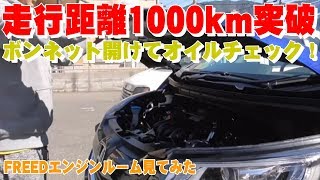 【新型フリード】エンジンオイルの点検方法！走行距離1000km突破！【FREED+（フリードプラス）Honda コンパクトミニバン】