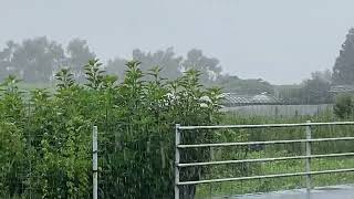 TJAR 2022☔️大雨の中.2位通過 木村選手 静岡市牛妻郵便局 8月12日金曜日11:19