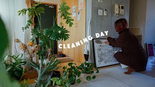 Clean with me | Daily cleaning + α | Window condensation solution | Daily vlog in Tokyo