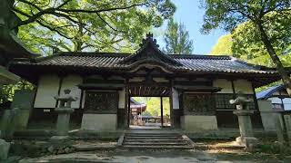 伊居太神社(大阪府池田市)