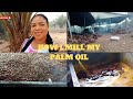 HOW I MILL MY PALM OIL😱!!!