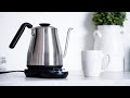 Top 5 Best Electric Kettles to Buy in 2022