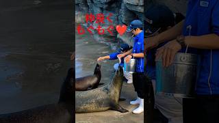 仲良く、もぐもぐ❤️鴨川シーワールド🌸Kamogawa SeaWorld🌷関東最大級のイルミネーションを誇る東京ドイツ村とのセットプラン‼️オルカ＆スマイル