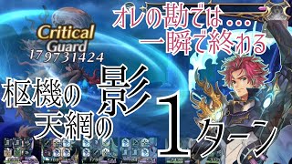 【アナザーエデン】元冒険者による速攻講座 枢機の天網の影1ターン討伐【アナデン/Another Eden】