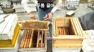 단상벌을 엎어서 계상을 만들고 있어요. 밥값 못하는벌 밥값하게 만들기