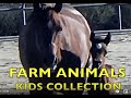 FARM ANIMALS on the FARM  (real authentic sounds)  KIDS COLLECTION  Educational