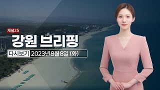 강원브리핑 8월 8일(화) 23년