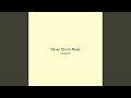 Silver Storm River