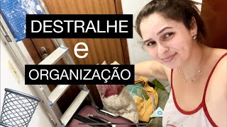 DESTRALHE E ORGANIZAÇÃO Tirei MUITAS COISAS🚮