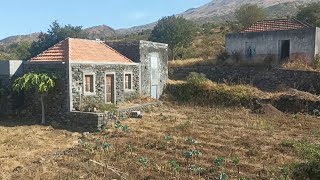 De paseo y en busca de electrodomésticos