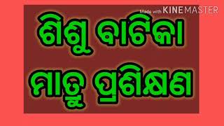 ଶିଶୁ ବାଟିକା ମାତ୍ରୁ କର୍ମଶାଳା