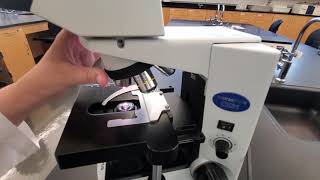 Lab 3-1: Microscopy