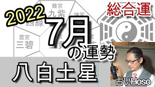 7月の運勢(総合)【八白土星】2022年 九星 タロット 占い