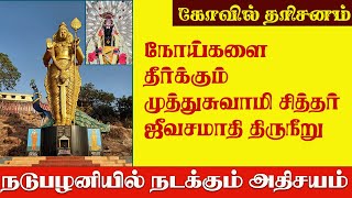 நோய்களை தீர்க்கும் சித்தர் ஜீவசமாதி திருநீறு | நடுபழனியில் நடக்கும் அதிசயம்