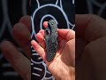 delica® 4 lightweight black blade