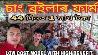 চাং ব্ৰইলাৰ ফাৰ্ম IICage Broiler Farming II Premium Chick Feeds Pvt Ltd