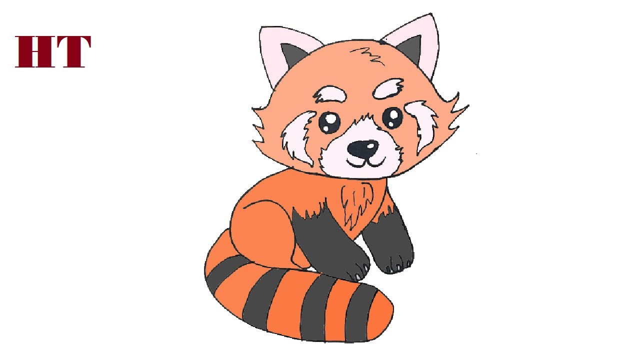 How To Draw A Red Panda Cute And Easy - YouTube