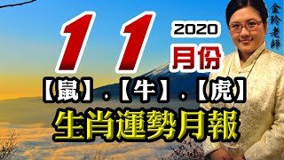 【鼠、牛、虎】2020年11月份生肖運勢月報（庚子年丁亥月）｜好運來抱抱｜11/07-12/06｜金玲老師（有字幕）