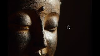 第3章「心」3:ダンマパダーブッダの言葉: Chapter 3:What Buddha told - Danmapada - Chapter 3 \