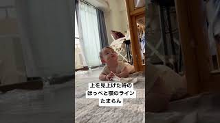 赤ちゃんの顔のフォルムって何でこんなに可愛いの #shorts #赤ちゃん #baby