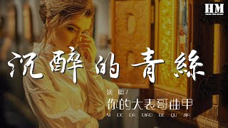 你的大表哥曲甲 - 沉醉的青絲 (想你 念你)『我會想你念你 如果回憶容易』【動態歌詞Lyrics】