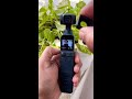 dji pocket 2 creator combo shorts trending viralshorts ytshorts viral djipocket2