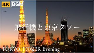 飛行機と東京タワーの夕景 25-FEB-2022 TOKYO TOWER 4K ライトアップ