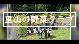 里山の野菜クラブPV #津久井湖城山公園  #野菜作り #野菜 #野菜収穫 #相模原市 #相模原市緑区 #根小屋地区