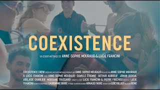 Coexistence: meeting the world's most fished shark | Short movie | Coexistence Crew