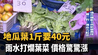 地瓜葉1斤要40元　雨水打爛葉菜　價格驚驚漲－民視新聞