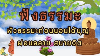 ฟังธรรมะก่อนนอน ได้บุญ ผ่อนคลาย สบายจิต