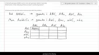 Polygenic inheritance practice 2
