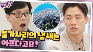 불가사리에 진심인 양승찬 대표님이 말하는 '불가사리의 모든 것'#유퀴즈온더블럭 | YOU QUIZ ON THE BLOCK EP.93 | tvN 210210 방송