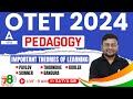 OTET 2024 | Pedagogy | Important Theories Of Development By Satya Sir