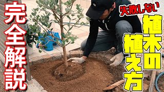 現役庭師がDIYで植木を植える方法を手取り足取り教えます【築10年の外構をプチリフォーム＃2話】