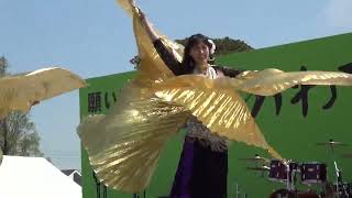 2017年かわさき楽大師祭り①　　ベリーダンス　　2017 Kawasaki Rakudaishi Festival ①　　Belly Dance　🌸Japanese festivals