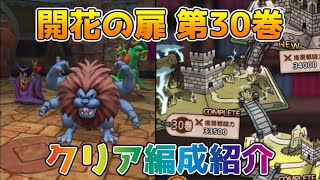 【DQタクト】開花の扉 第30巻のクリア編成紹介【#ドラクエタクト/#ドラゴンクエストタクト/#DQTact】