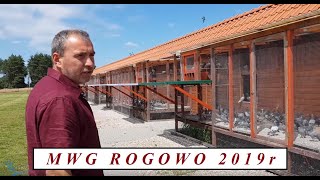 MWG ROGOWO 2019r / Rozpoczęcie Sezonu ( 1 Trening )