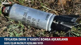 Yevlaxda daha 17 kasetli bomba aşkarlanıb - AYNUR ZAHİD, BAKU TV