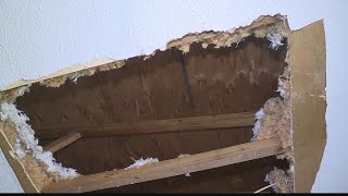 Frustrated resident asking for help after hole causes leak in her Jacksonville apartment