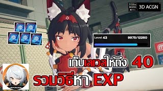 ไกด์รวมวิธีหา EXP เก็บเลเวลให้ถึง 40 ทุกอย่างที่ได้ EXP ต้องหา! | Zenless Zone Zero