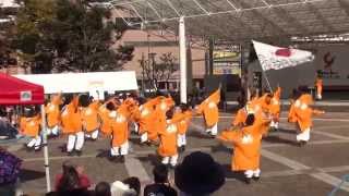 yosakoiはーとらんど さん　2015　YOSAKOIさせぼ祭り